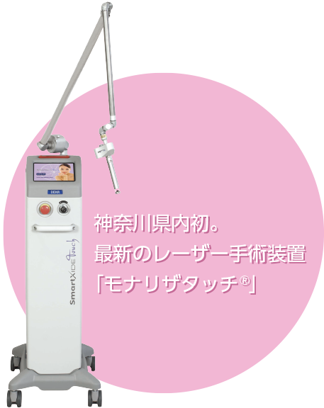モナリザタッチ